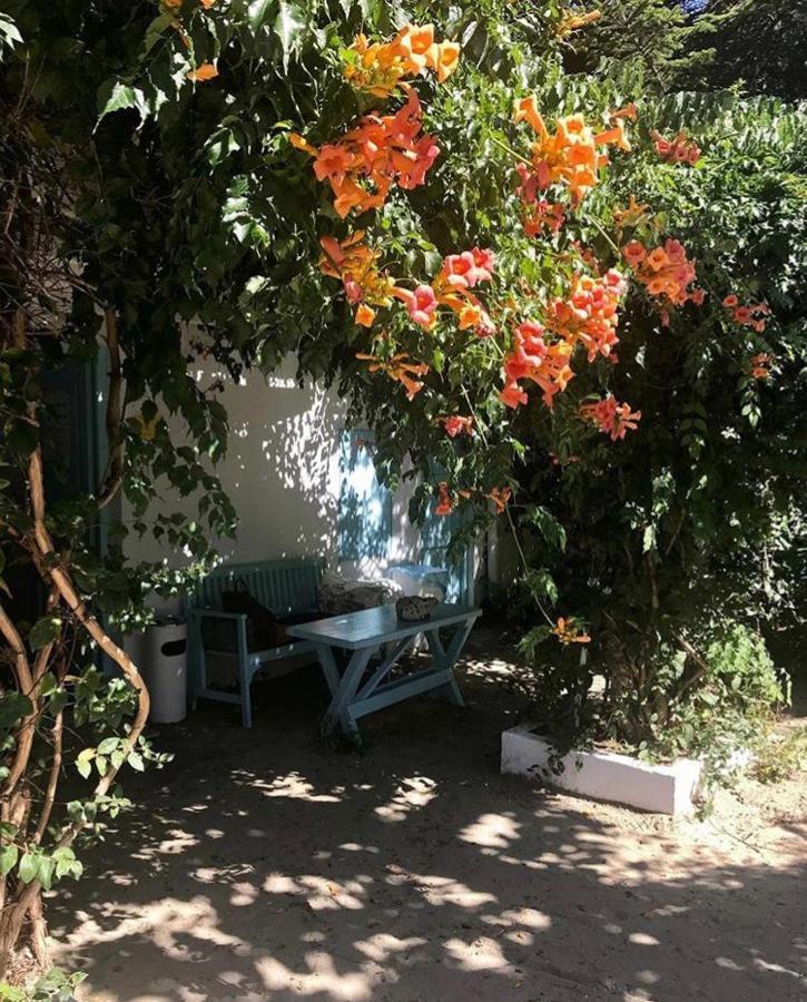Hotel Casa Stavros Două Mai Esterno foto