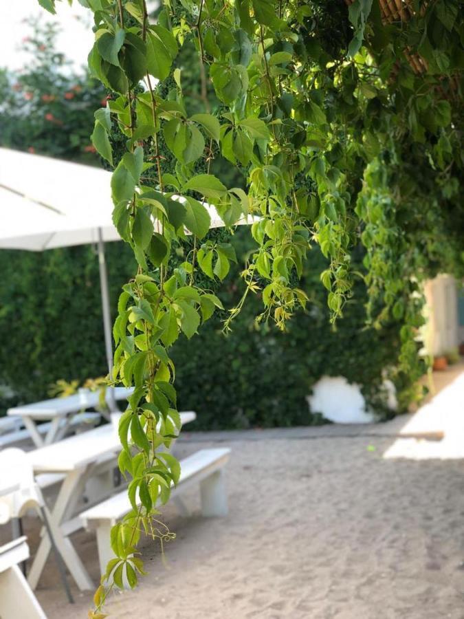 Hotel Casa Stavros Două Mai Esterno foto