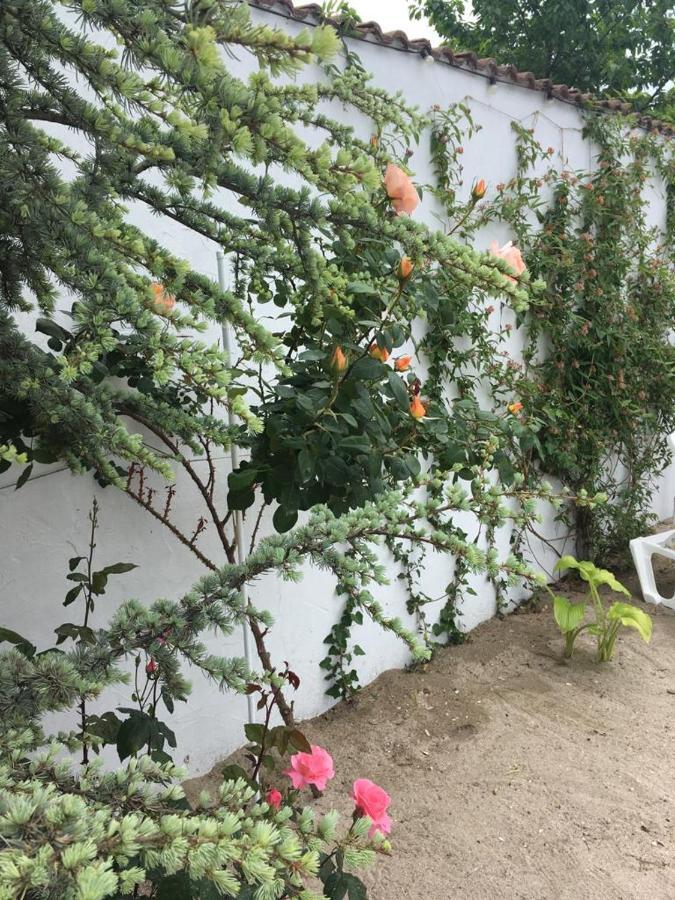 Hotel Casa Stavros Două Mai Esterno foto